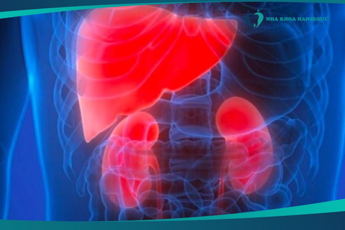 Ảnh hưởng đến chức năng của gan, thận