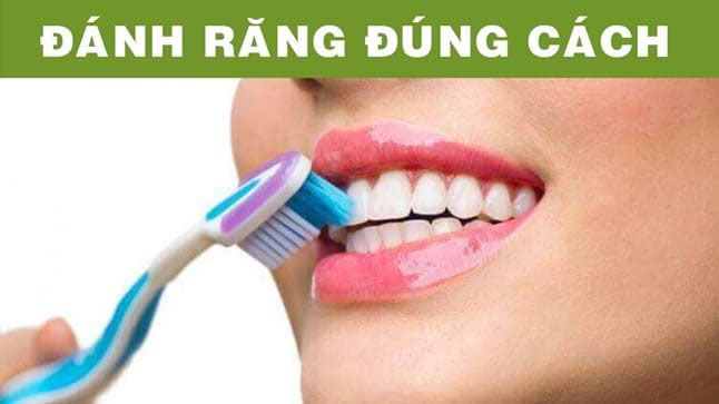 Chải răng đúng cách Chải răng đúng cách