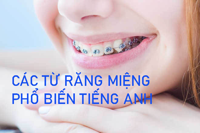Các từ răng miệng phổ biến tiếng anh Các từ răng miệng phổ biến tiếng anh